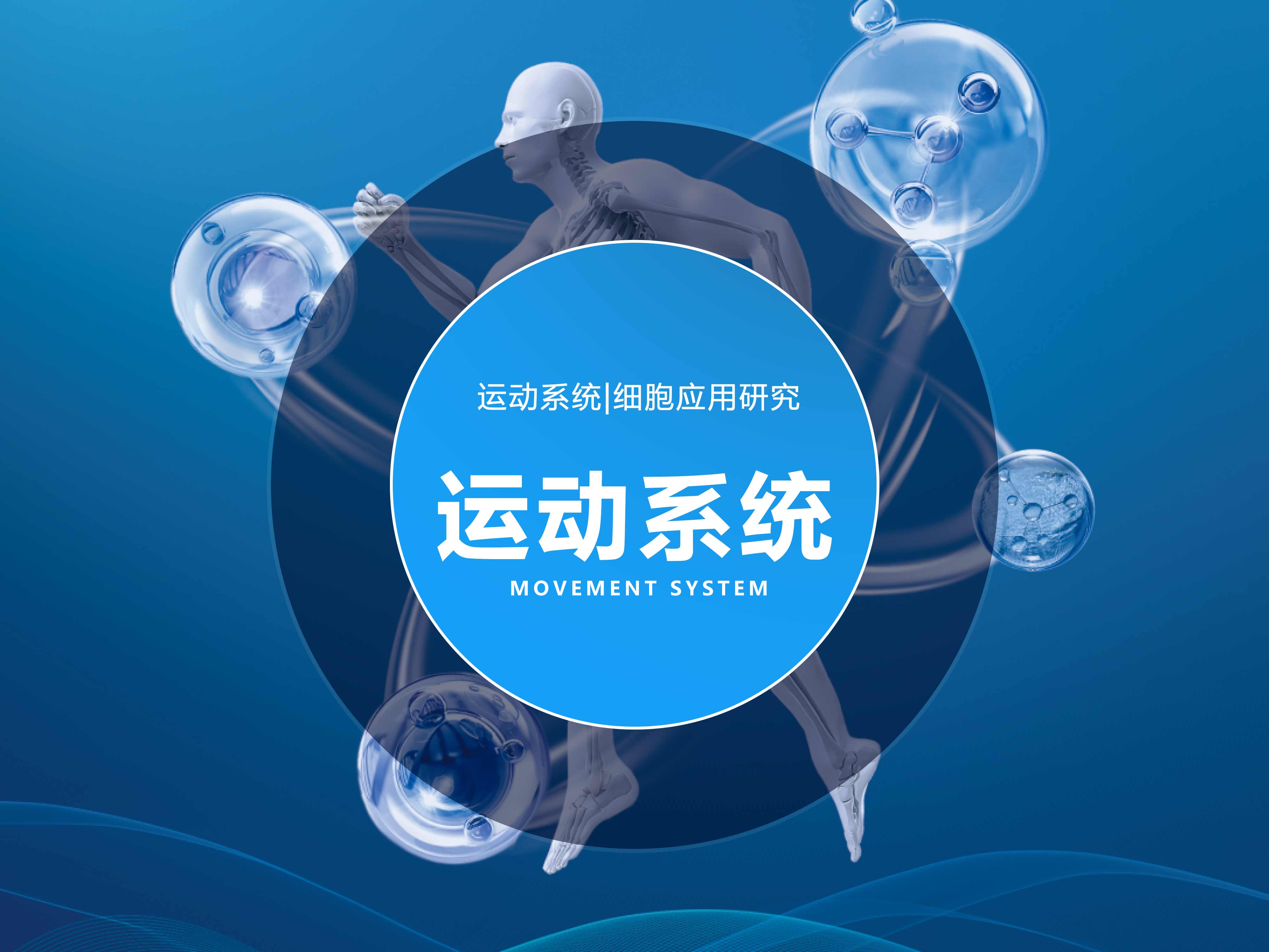 運動系統|細胞應用研究
